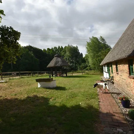 Cozy Holiday On Farm In Nyaraló *